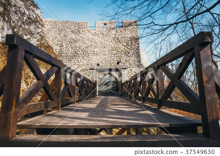 Ruins of Smolen castle near Pilica, Poland Ruins of Smolen castle near Pilica, Poland 37549630