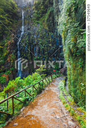 mountain path to Levada do Risco , Madeira mountain path to Levada do Risco , Madeira 37549649