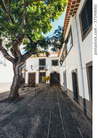 Catholic church in Funchal, Madeira, Portugal Catholic church in Funchal, Madeira, Portugal 37549660