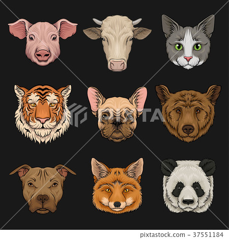 Wild and domestic animals set, heads of pig, cow Wild and domestic animals set, heads of pig, cow 37551184