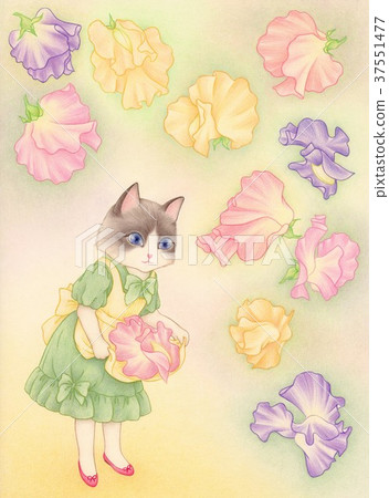 Sweet peafra 37551477