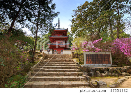The temple of Shofukuji temple grounds in Hofuku-ji Temple Sosha City, Okayama Prefecture The temple of Shofukuji temple grounds in Hofuku-ji Temple Sosha City, Okayama Prefecture 37551582
