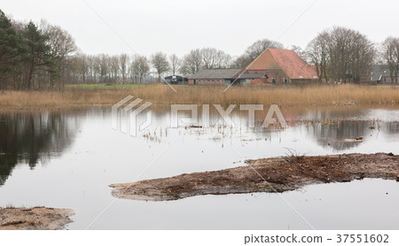 Old dutch farm Old dutch farm 37551602