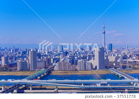 東京城市風光 37551778