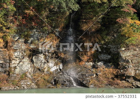 Nagamine's Myojin waterfall and colored leaves Nagamine's Myojin waterfall and colored leaves 37552331