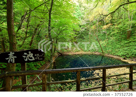 Shirakami Sanchi·Lake Twelve秋天漂浮著“藍塘” 37552726