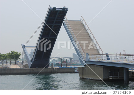 海港大橋 海港大橋 37554309