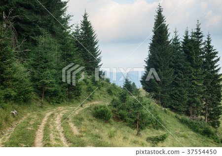 Summer mountain landscape Summer mountain landscape 37554450