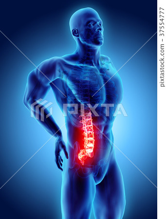 3D Illustration of sacral spine painful. 3D Illustration of sacral spine painful. 37554777