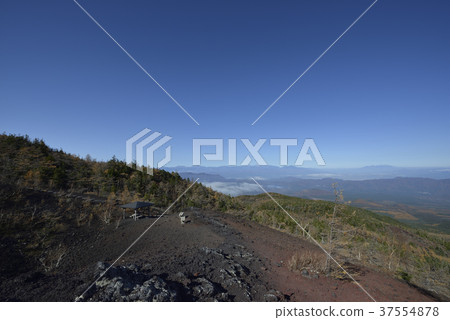 Garden, Azuma shop and walking path (Yamanashi Prefecture) 37554878