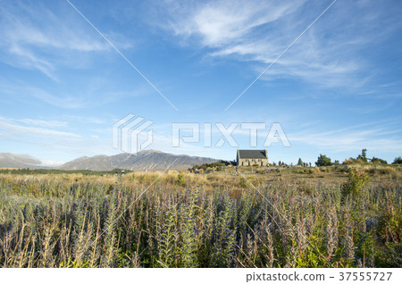 The chapel of the good shepherd of Lake Tekapo The chapel of the good shepherd of Lake Tekapo 37555727