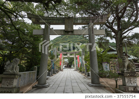Miyaji Kamo Shrine Shindo Torii 37555754