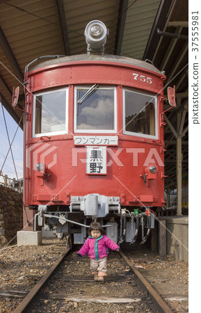 younger, electric train, train 37555981