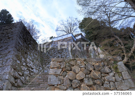 Ishinaka and the cherry blossoms of the Binonaka Matsuyama Castle Minomaru trace Takahashi City, Okayama Prefecture Ishinaka and the cherry blossoms of the Binonaka Matsuyama Castle Minomaru trace Takahashi City, Okayama Prefecture 37556065