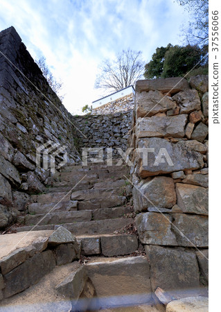 Ishinaka and the cherry blossoms of the Binonaka Matsuyama Castle Minomaru trace Takahashi City, Okayama Prefecture Ishinaka and the cherry blossoms of the Binonaka Matsuyama Castle Minomaru trace Takahashi City, Okayama Prefecture 37556066