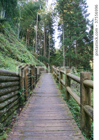 Iwami Ginzan promenade 37556996