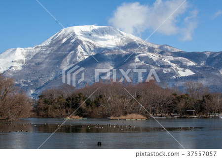 Ibukiyama和Mishima池塘1在冬天1 37557057