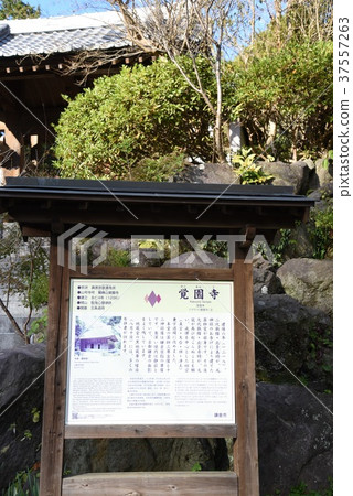 Kamakura Kazoenji招牌 Kamakura Kazoenji招牌 37557263