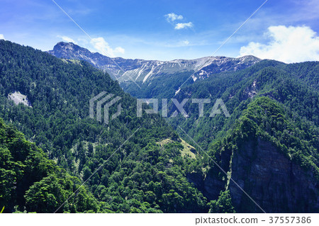 西峰觀景台眺玉山主峰 37557386