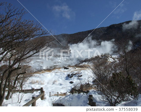 雪山 雪山 37558039