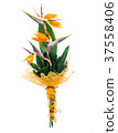 Bird of paradise bouquet 37558406