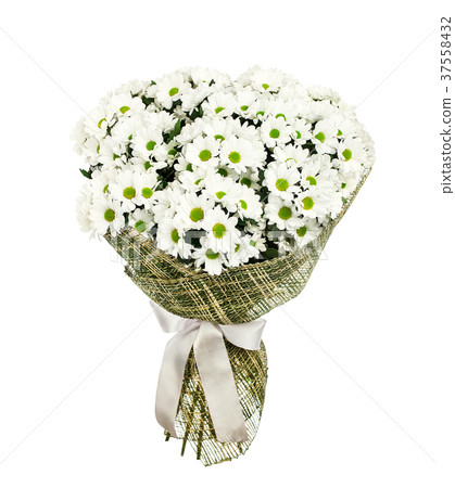 Bouquet of white camomiles Bouquet of white camomiles 37558432