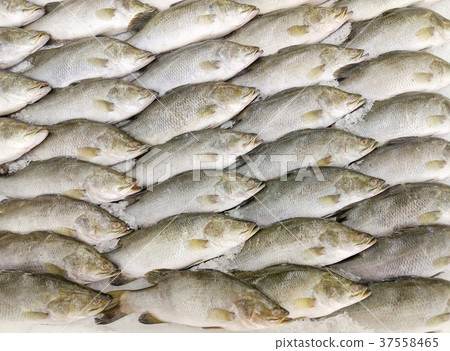 Sea fishes on the market 37558465