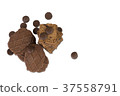 brownie sweet unhealthy biscuit chocolate dark  37558791