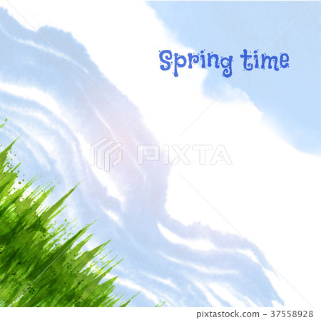 Fresh green grass and blue sky. Vector Fresh green grass and blue sky. Vector 37558928