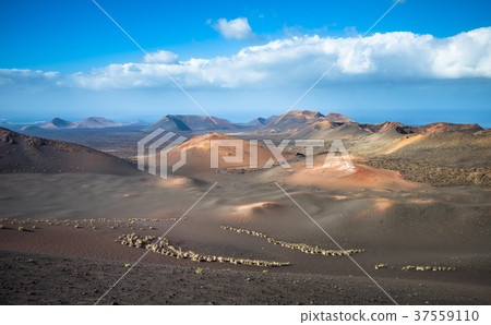 Volcanic landscape at Timanfaya National Park Volcanic landscape at Timanfaya National Park 37559110