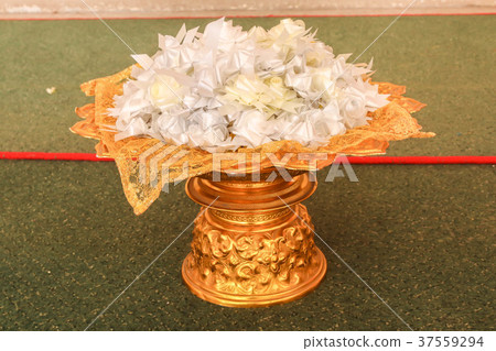 Close up of alms flowers (Ribbon flowers) 37559294