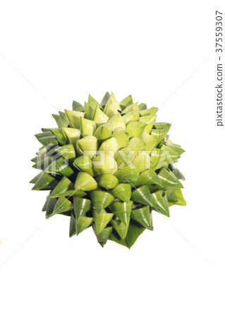 Fresh of green Pandanus Palm, Fragrant Pandan Fresh of green Pandanus Palm, Fragrant Pandan 37559307
