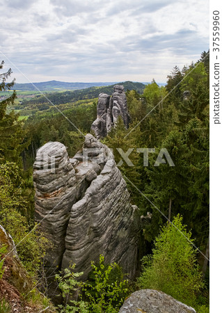 sandstone rocks - Prachovske skaly (Prachov Rocks) 37559960