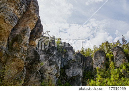 sandstone rocks - Prachovske skaly (Prachov Rocks) 37559969