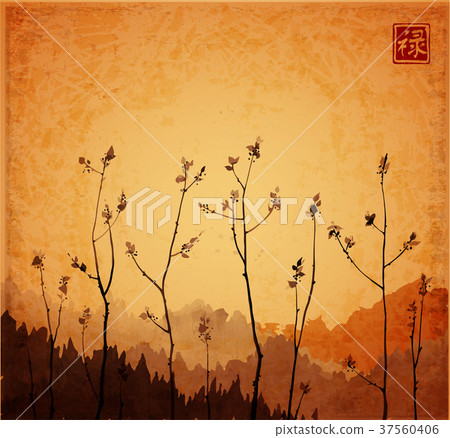 Branches of young trees with fresh leaves on 37560406