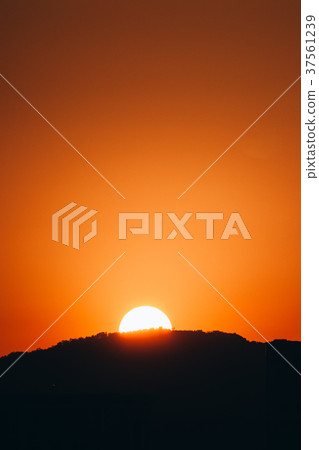 夕陽,剪影,太陽,落日,Sunset,silhouette,sun 夕陽,剪影,太陽,落日,Sunset,silhouette,sun 37561239