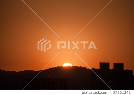 Sunset, silhouette, sun, sunset, sunset, silhouette, sun Sunset, silhouette, sun, sunset, sunset, silhouette, sun 37561241