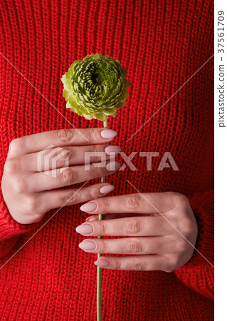 female hands holding a green flower female hands holding a green flower 37561709