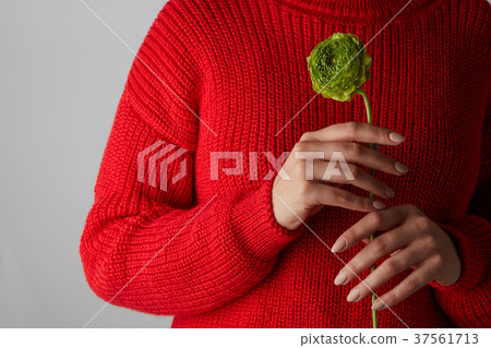 female hands holding a green flower female hands holding a green flower 37561713