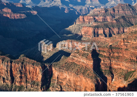 Grand Canyon North Rim Landscape Grand Canyon North Rim Landscape 37561903
