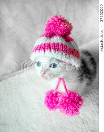 A cute little kitten in a pink knitted hat with A cute little kitten in a pink knitted hat with 37562090