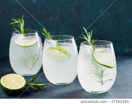 Glass of Martini coctail with fresh rosemary 37562365