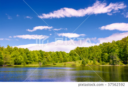 mountain lake among the forest 37562592