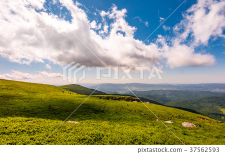 grassy meadow on mountain hills 37562593
