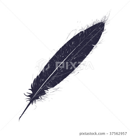 Grunge feather pen Grunge feather pen 37562957