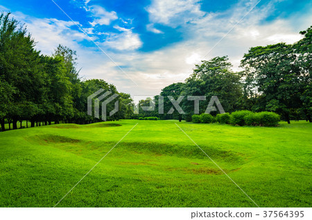 nature background of landscape green field nature background of landscape green field 37564395