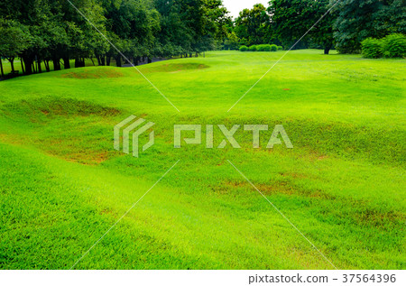 nature background of landscape green field nature background of landscape green field 37564396