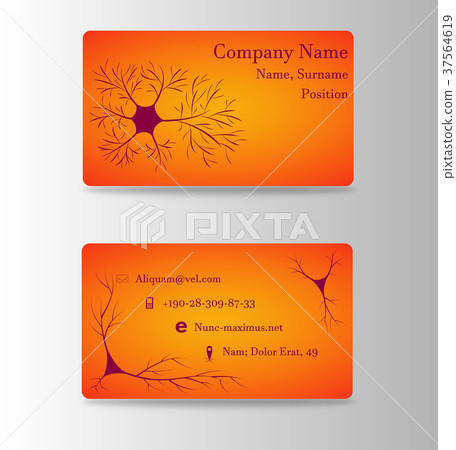 Neurosurgeon or brain doctor business card 37564619