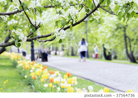 Walking happy people, families with children in 37564736