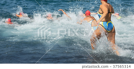 Triathlon participants running into the water 37565314